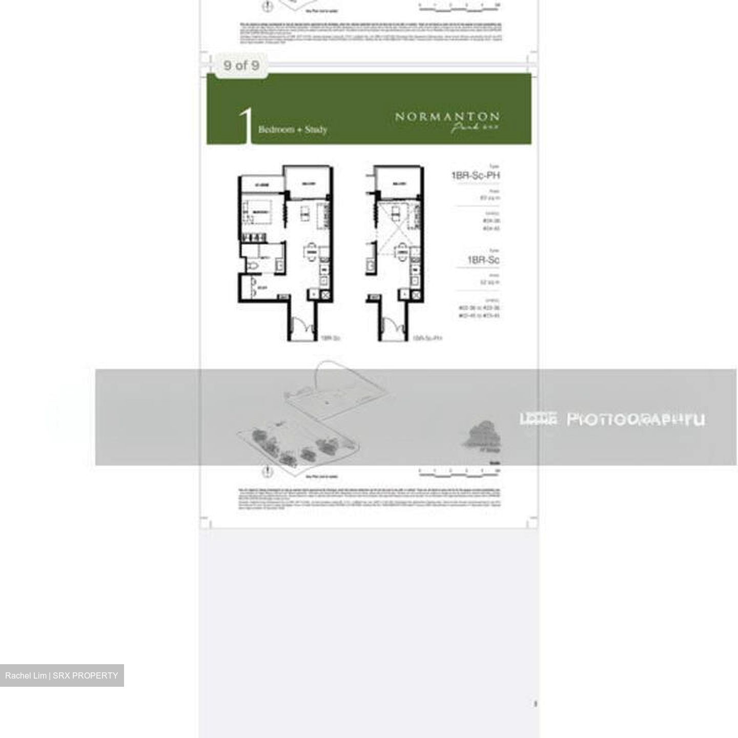 Normanton Park (D5), Apartment #514171461